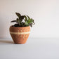 Brady Terracotta Planter