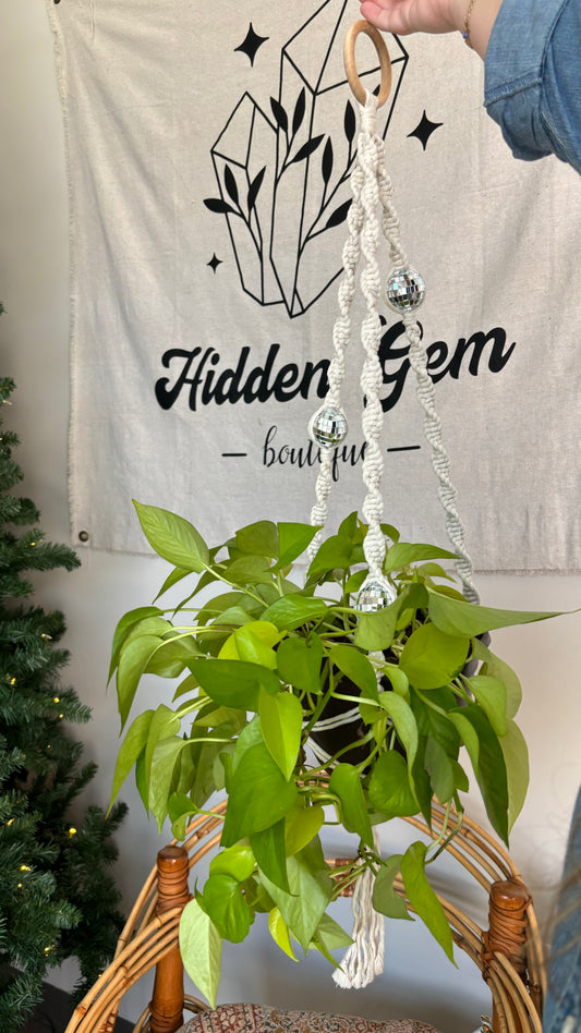 Groovy Plant Hanger