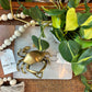 Antiqued Brass Blue Crab