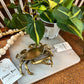 Antiqued Brass Blue Crab