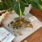 Antiqued Brass Blue Crab