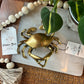 Antiqued Brass Blue Crab