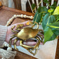 Antiqued Brass Blue Crab