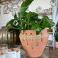 Brady Terracotta Planter