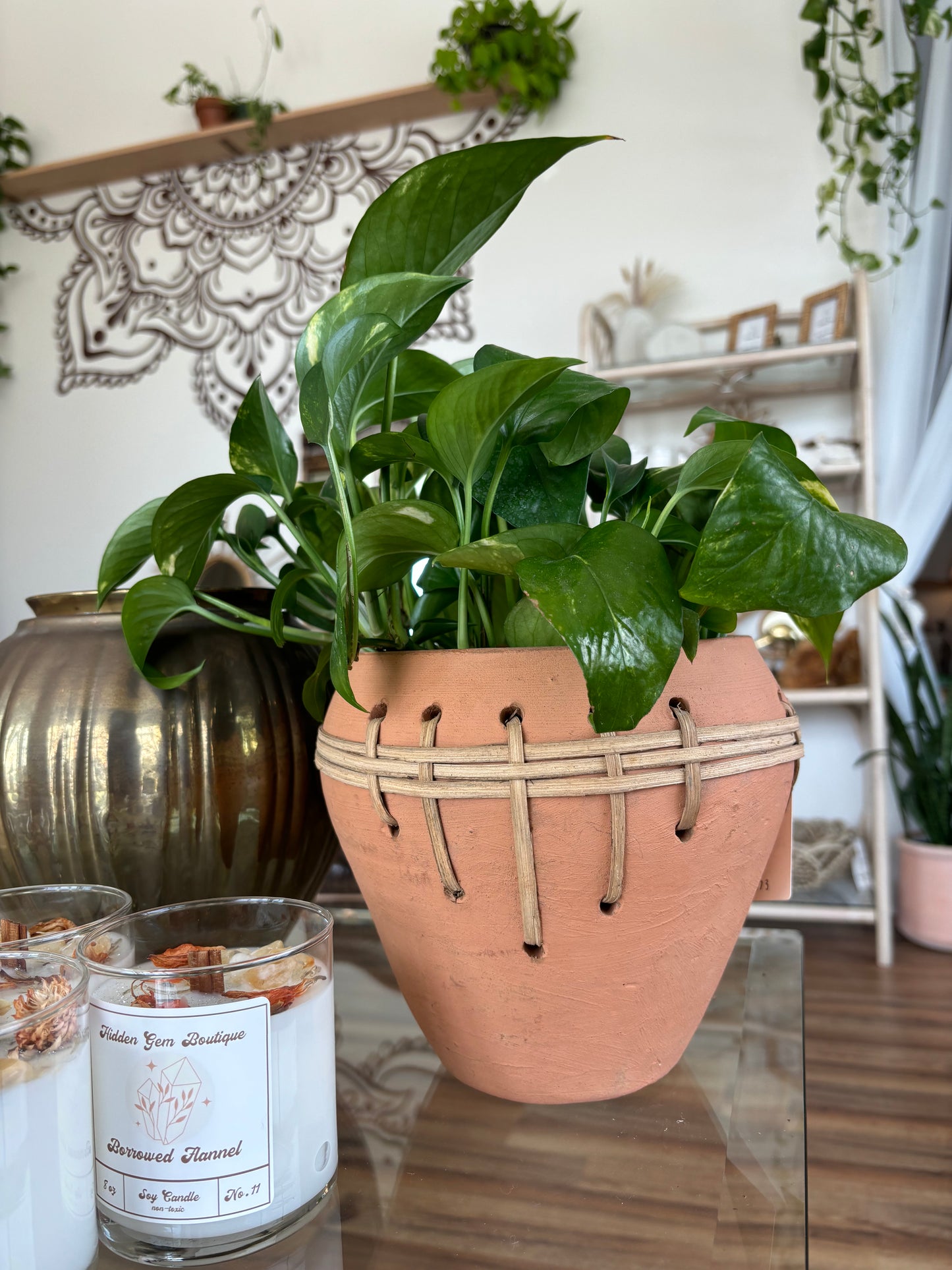 Brady Terracotta Planter