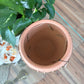 Brady Terracotta Planter