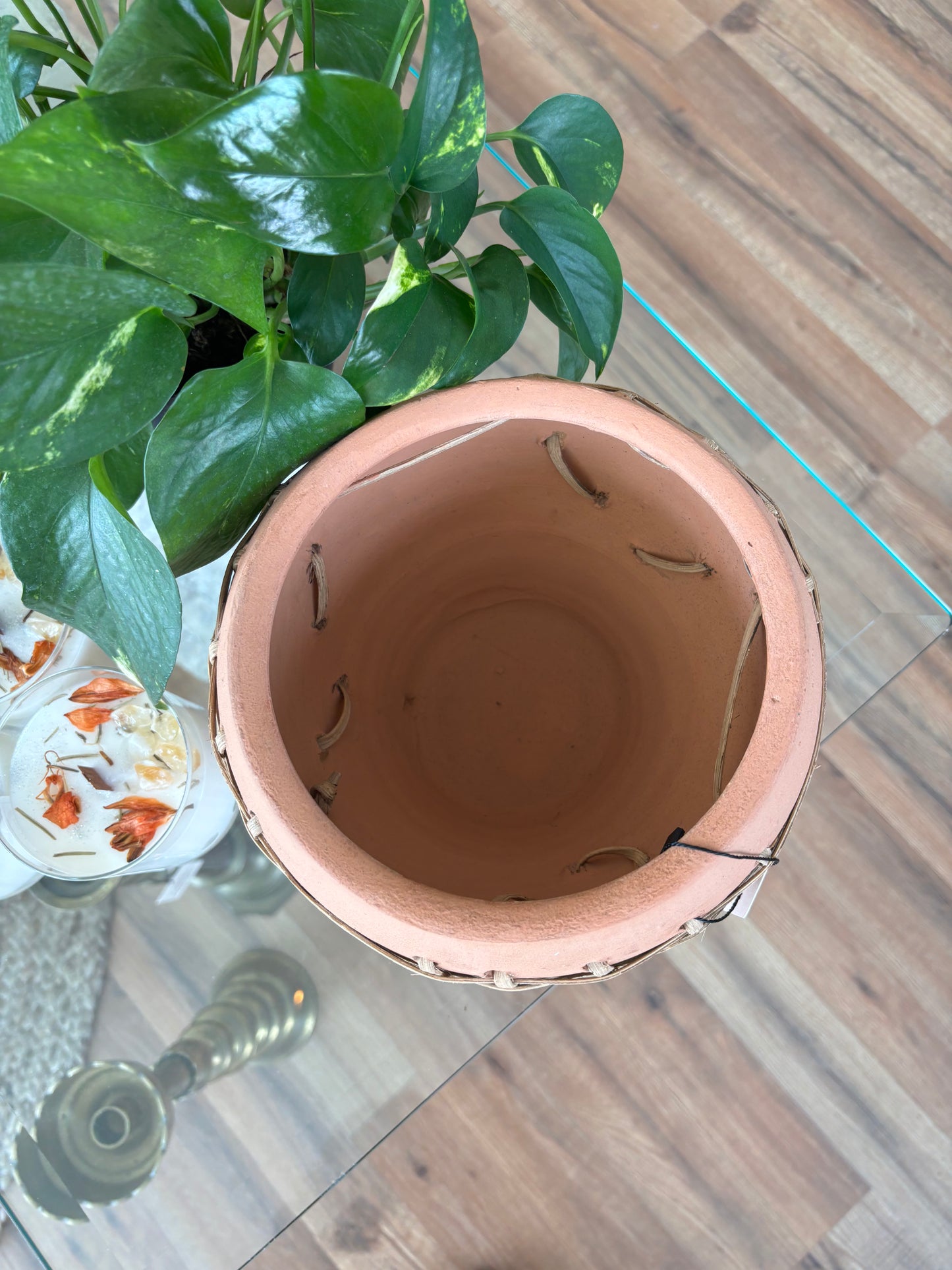 Brady Terracotta Planter