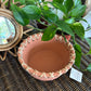 Marigold Terracotta Bowl