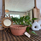 Marigold Terracotta Bowl