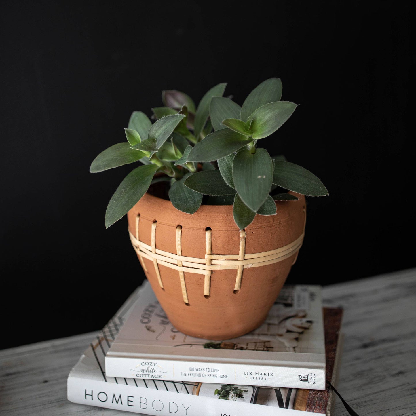 Brady Terracotta Planter